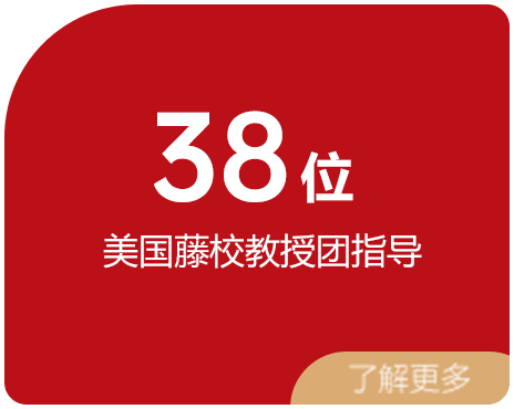 38位 美国藤校教授团指导